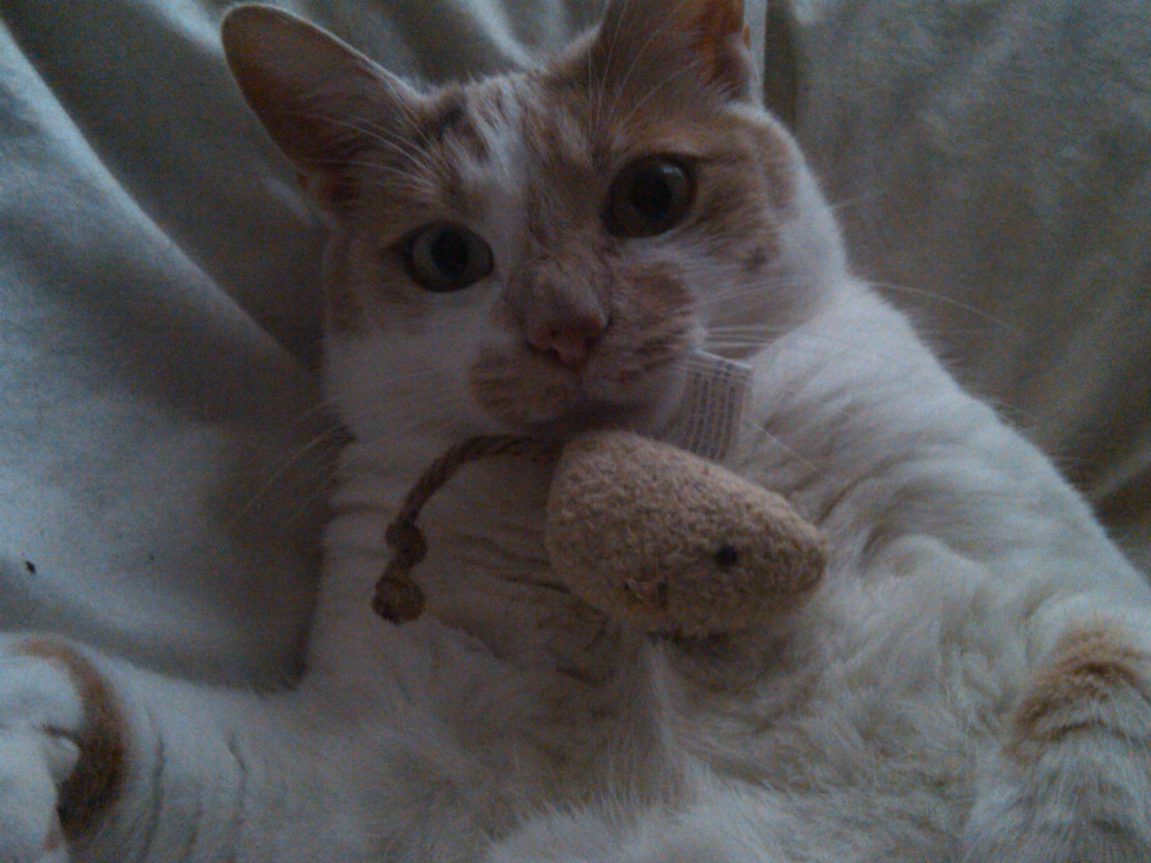 Smudge